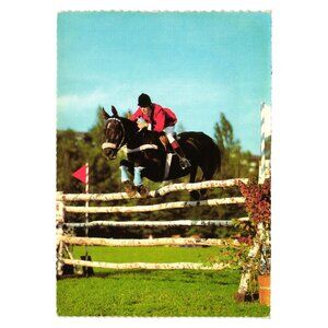Vintage Horse Jumping Postcard Foto H. Alder Edition Korsch 5438 Scalloped Edge